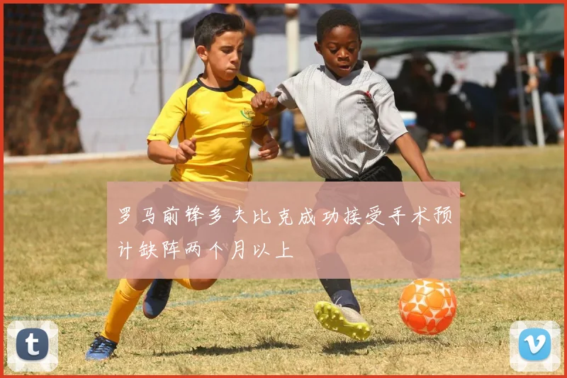 罗马前锋多夫比克成功接受手术预计缺阵两个月以上